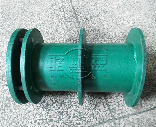 遼源市東遼縣<a href=http://www.www.tuxsqo.cn target=_blank class=infotextkey>柔性防水套管</a>